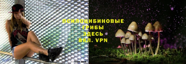 круглые Абаза