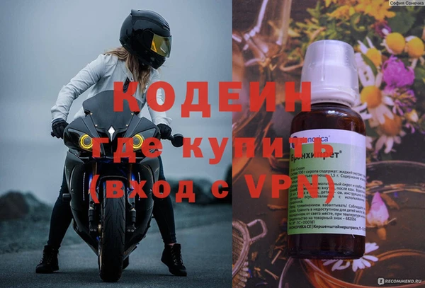 2c-b Пестово