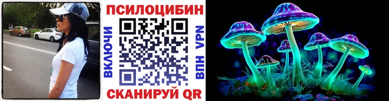 дарнет шоп  Кировград  Псилоцибиновые грибы Psilocybe 